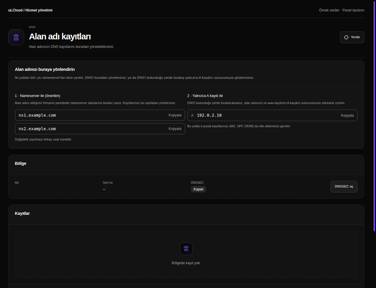 WordPress Hosting — DNS records. Actual panel design · Sample data · Available features depend on your plan.