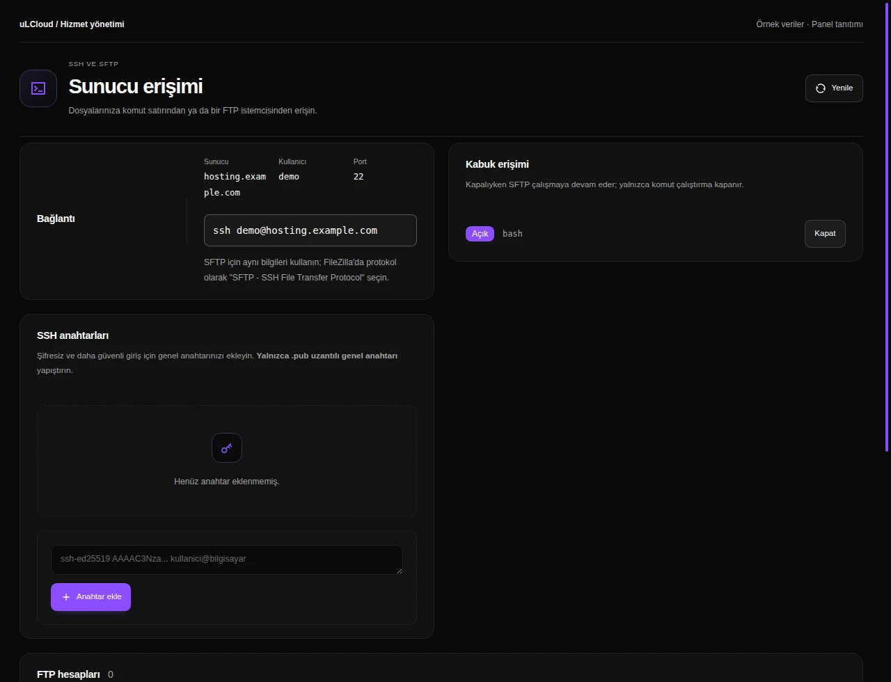 Web Hosting — FTP, SSH and SFTP. Actual panel design · Sample data · Available features depend on your plan.