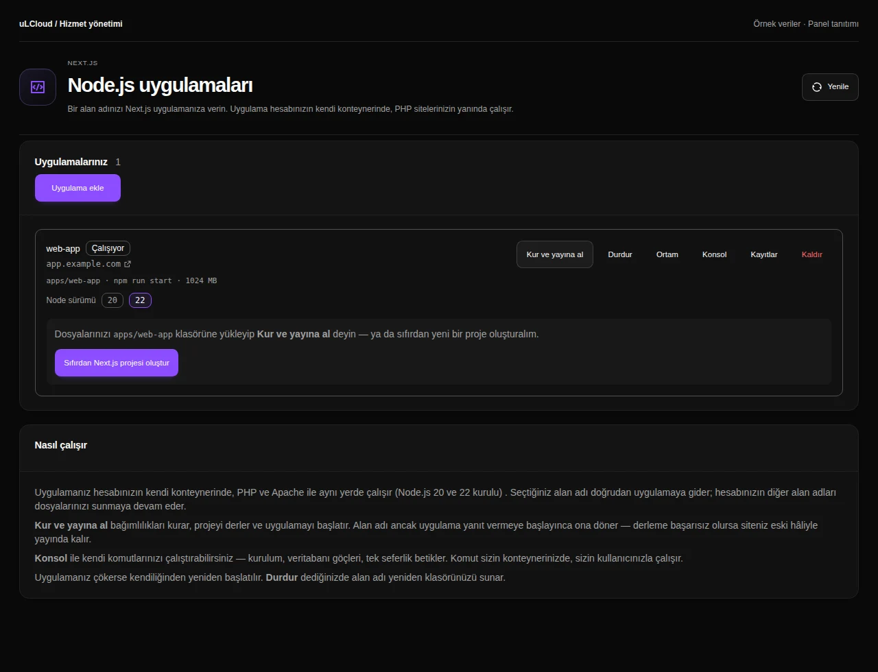 Node.js Hosting — Node.js applications. Actual panel design · Sample data · Available features depend on your plan.