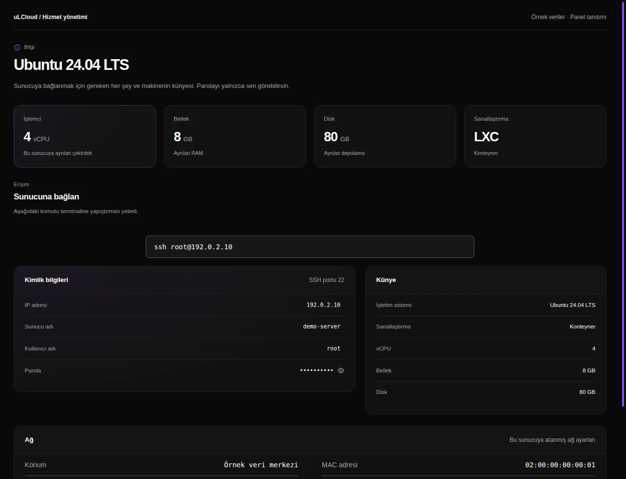 VDS Plans — Server information. Actual panel design · Sample data · Available features depend on your plan.